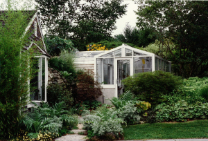 Here is the greenhouse next to the kitchen.