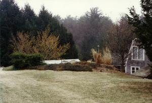 Greenhouse was built into the side of the hill.